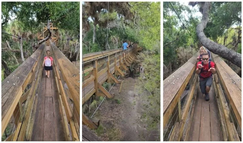 Canopy Walk