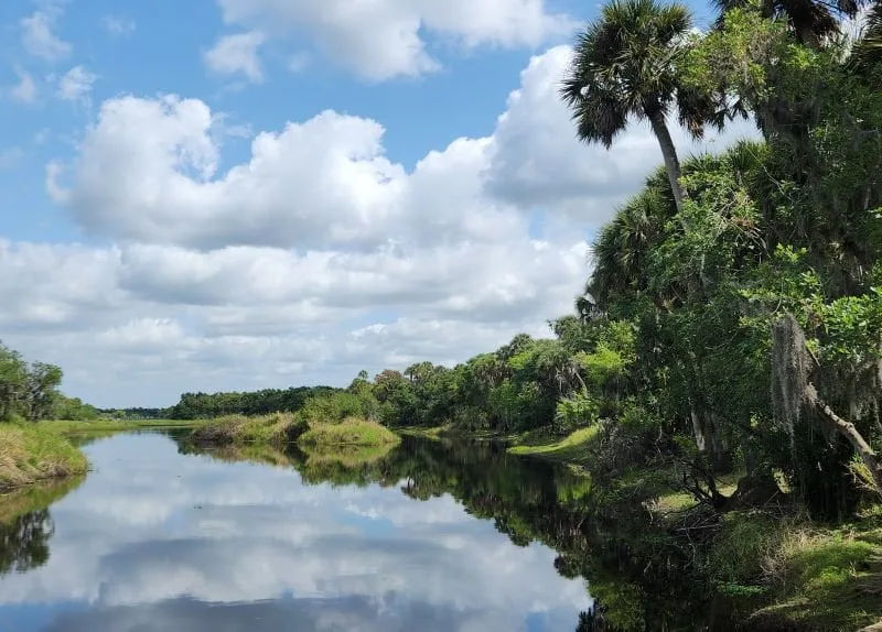 Exploring Myakka River State Park as a Family