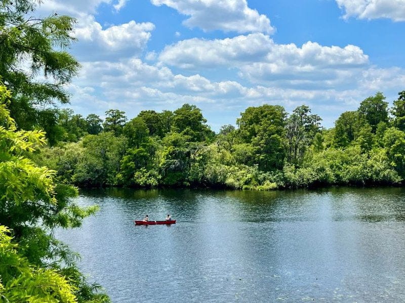 Go on an Adventure and Explore the All New Playground at Lettuce Lake Park!