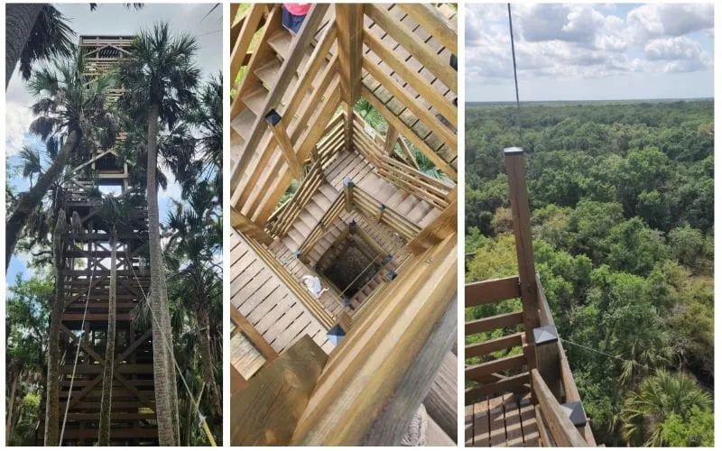 the tower at Myakka River State Park