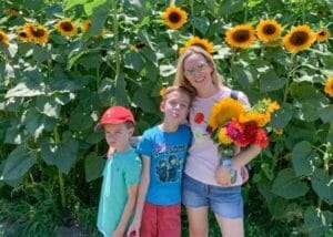 sweetfields farm sunflowers