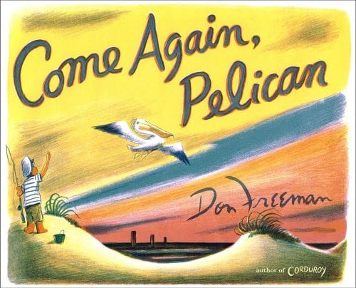 Books to celebrate summer: Come Again, Pelican