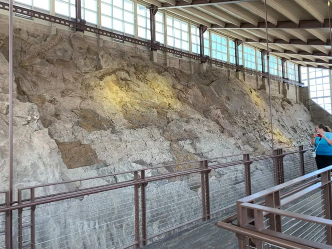 DInosaur National Monument Quarry Wall