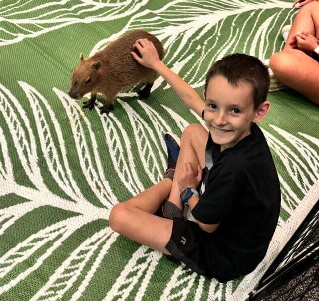 capybara cma