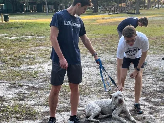 Steinbrenner High Boss Cross runners with a dog on a leash