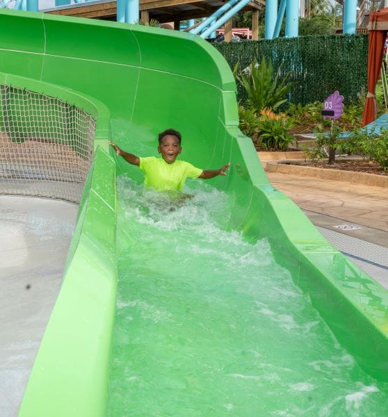 Castaway Falls at Adventure Island