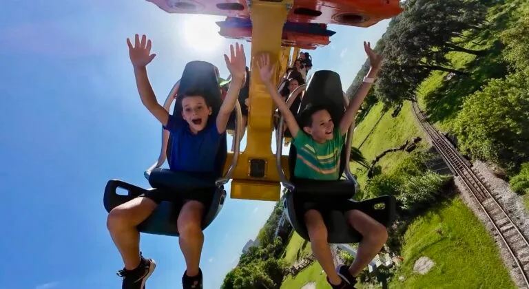 Phoenix Rising at Busch Gardens Tampa Bay