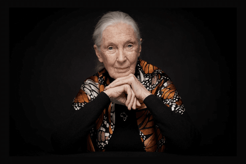 Dr. Jane goodall