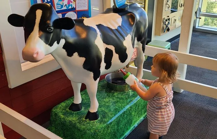 toddler milking a pretend cow at Glazer Children's Museum 