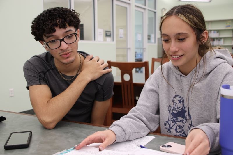 Teens using library tools to study smarter