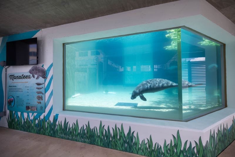 CMA Manatee Rehabilitation Center side view