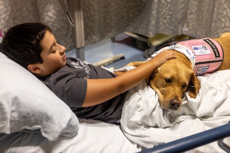 Muma Children's Hospital service dog Millie with a patient