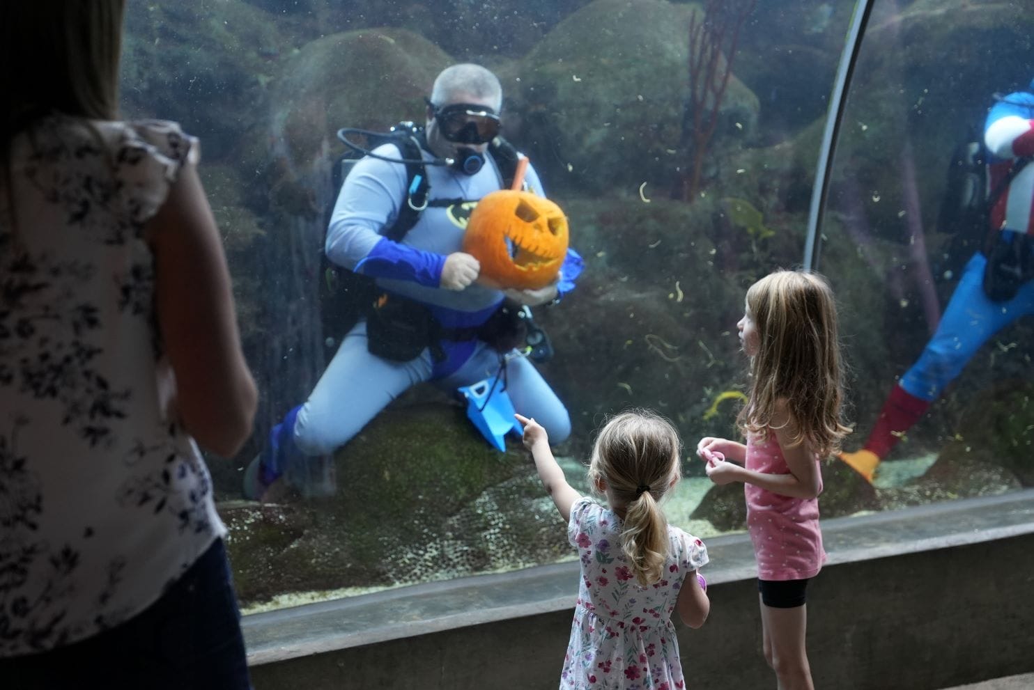 Guppyween is Back for Halloween Weekend Fun at the Florida Aquarium!