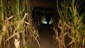 HarvestMoon Fun Farm in MasaryKtown