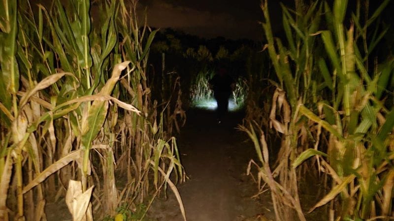 HarvestMoon Fun Farm in MasaryKtown