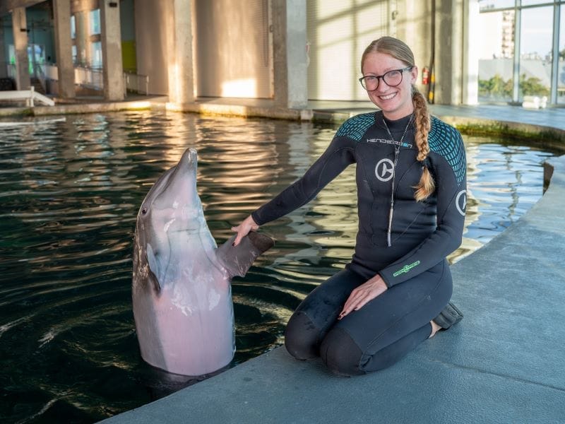 Clearwater Marine Aquarium hurricane recovery Chloe Neighbarger dolphin trainer