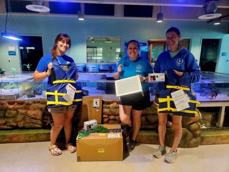 Finding Light After Dark at Clearwater Marine Aquarium: Resilience After the Hurricanes