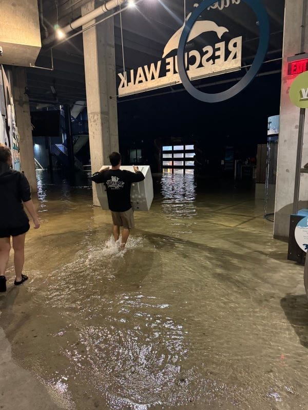 Finding Light After Dark at Clearwater Marine Aquarium: Resilience After the Hurricanes
