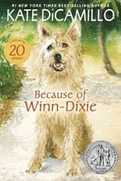 The 12 Days of Bookmas - Books to Gift this Christmas