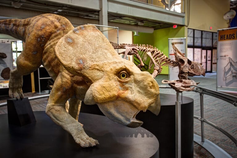 Dinosaur Discoveries at MOSI