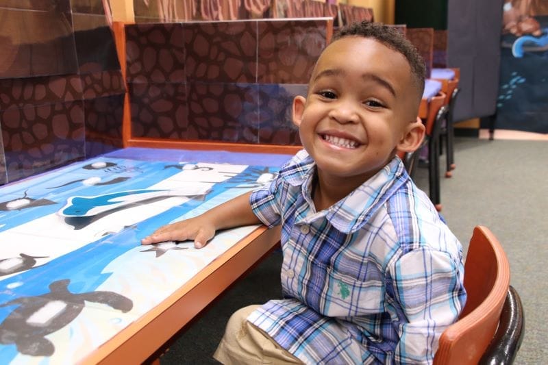 Public Library Resources