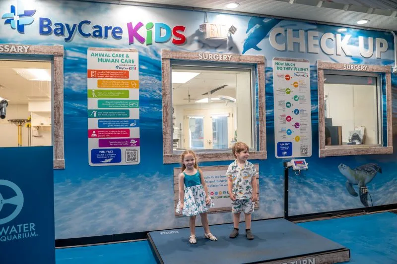 BayCare Kids exhibit at Clearwater Marine Aquarium