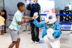 20+ FUN Things to Do in Tampa Bay this Weekend