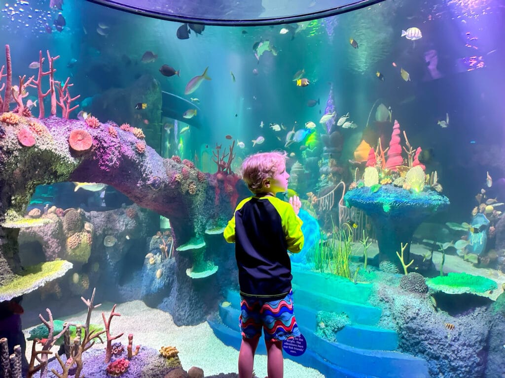 SEA LIFE Florida Dani's son in nook for underwater theme park