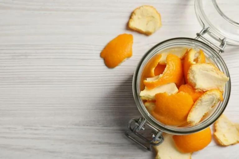 ways to use Food scraps