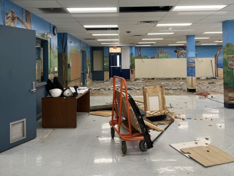 Summer Referendum Projects