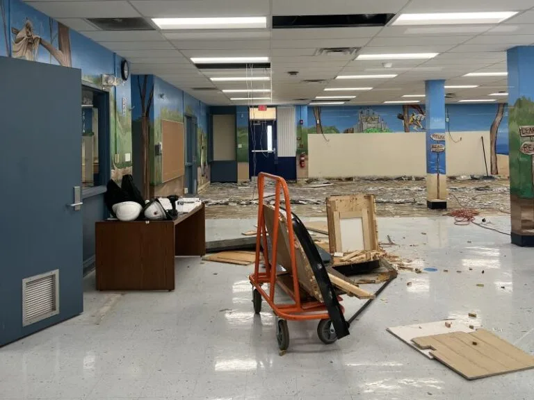 Summer Referendum Projects