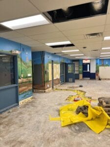 School is Over – But the Work is Not! Summer Referendum Projects 2025