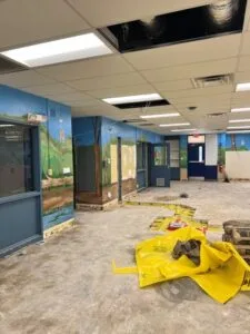 School is Over – But the Work is Not! Summer Referendum Projects 2025
