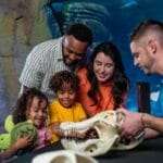 SEA LIFE Florida Makes a Splash at LEGOLAND® Florida Resort