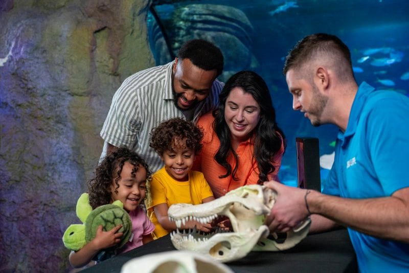 SEA LIFE Florida Makes a Splash at LEGOLAND® Florida Resort