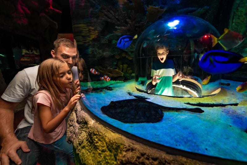 SEA LIFE Florida at LEGOLAND Florida