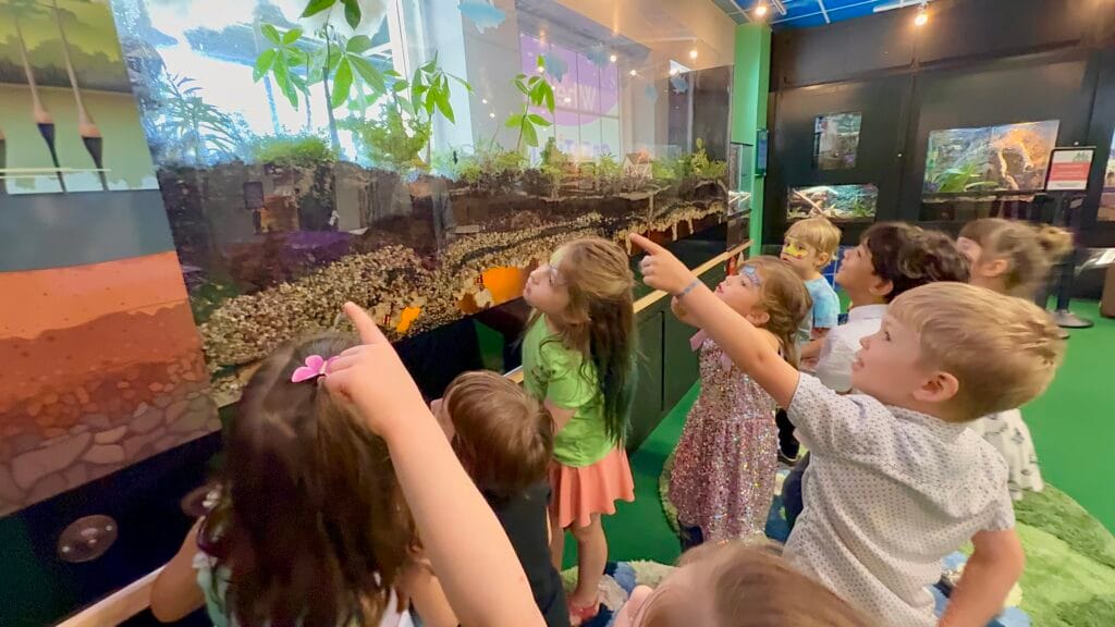 Wonders of the Wetlands at Great Explorations Children's Museum