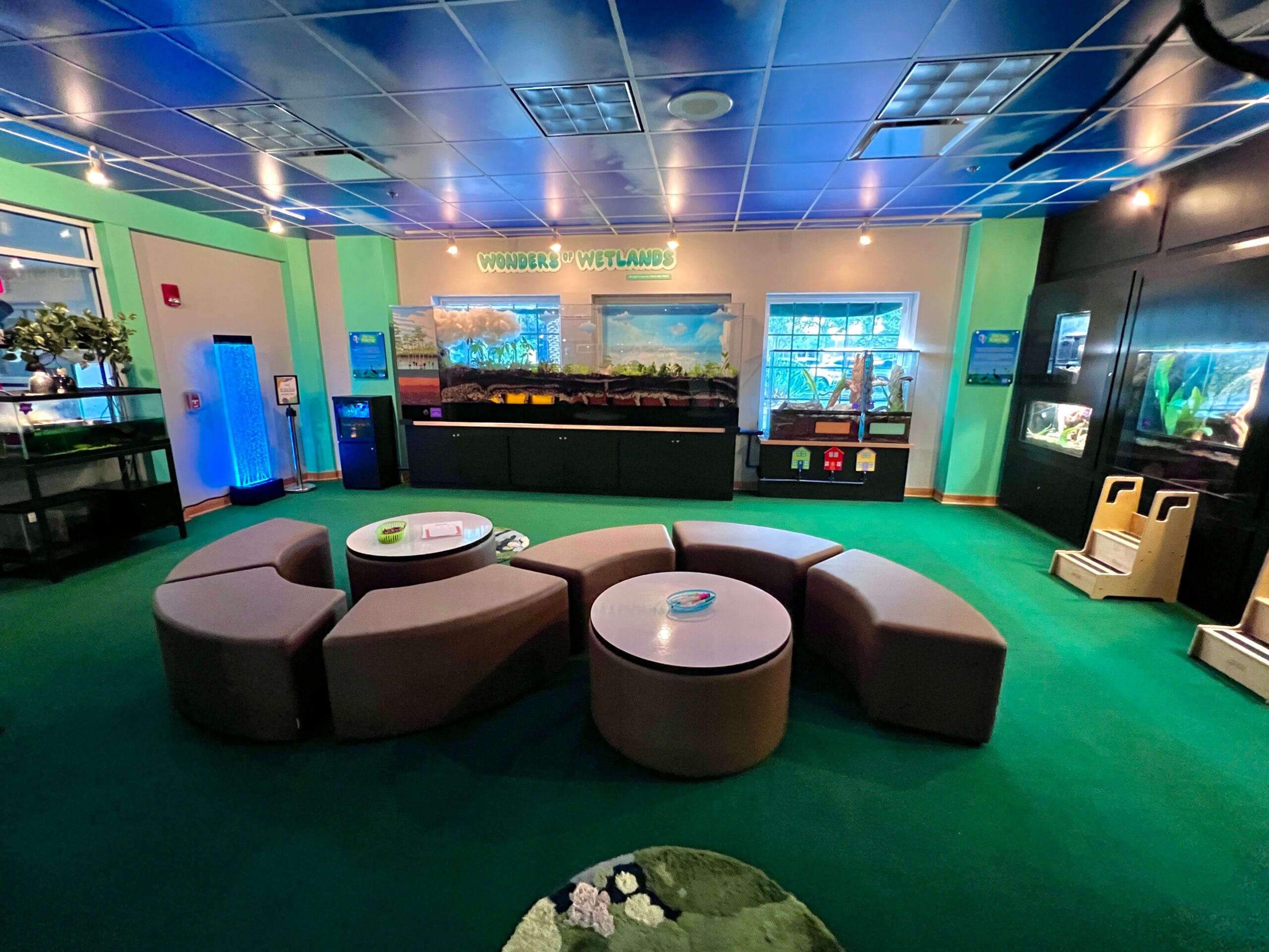 Wonders of the Wetlands at Great Explorations wide angle