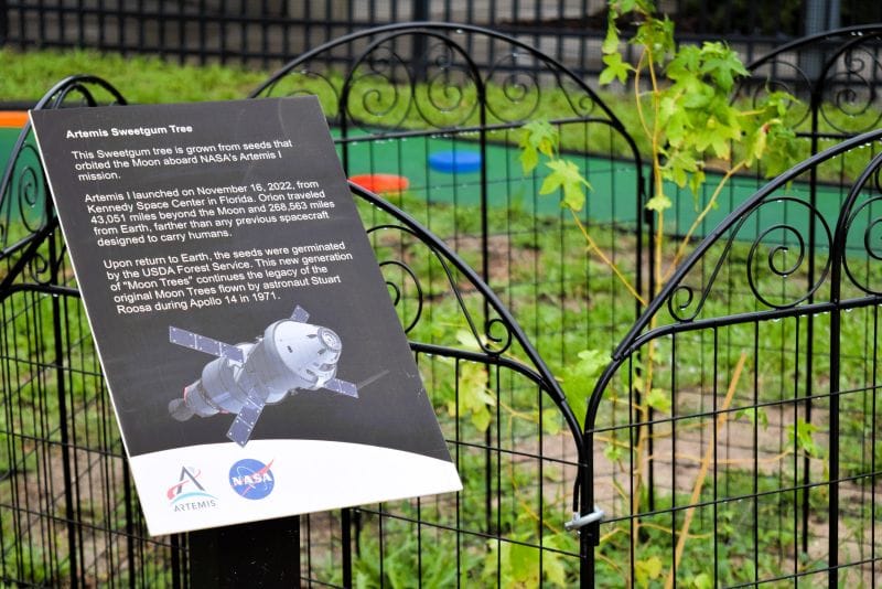 Celebrate Space Exploration Day at MOSI!