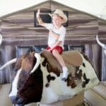 Things to Do this weekend in Tampa Bay Tampa Bay Rodeo