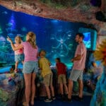 SEA-LIFE-Florida_Family_Theme-Park-Under-The-Sea