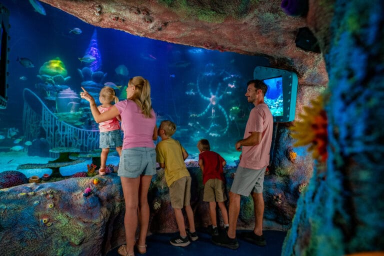 SEA-LIFE-Florida_Family_Theme-Park-Under-The-Sea
