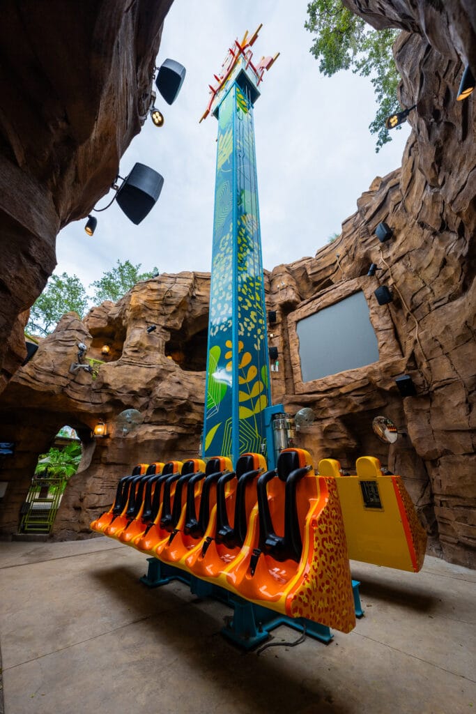 Treetop Drop at Wild Oasis at Busch Gardens Tampa Bay