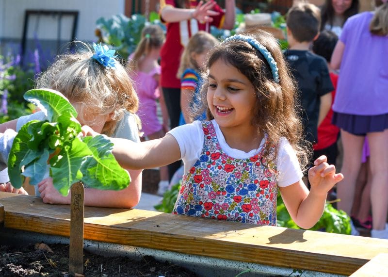 Nature is the best classroom - garden at Corbett Prep
