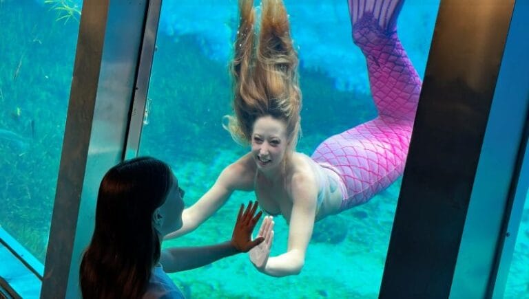 Mermaid Experience at Weeki Wachee Springs mermaid