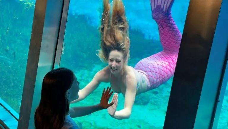 Mermaid Experience at Weeki Wachee Springs mermaid
