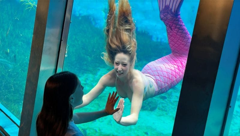 Mermaid Experience at Weeki Wachee Springs mermaid