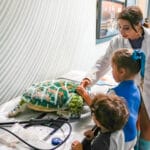 cuddle clinic at Florida Aquarium