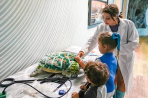 cuddle clinic at Florida Aquarium