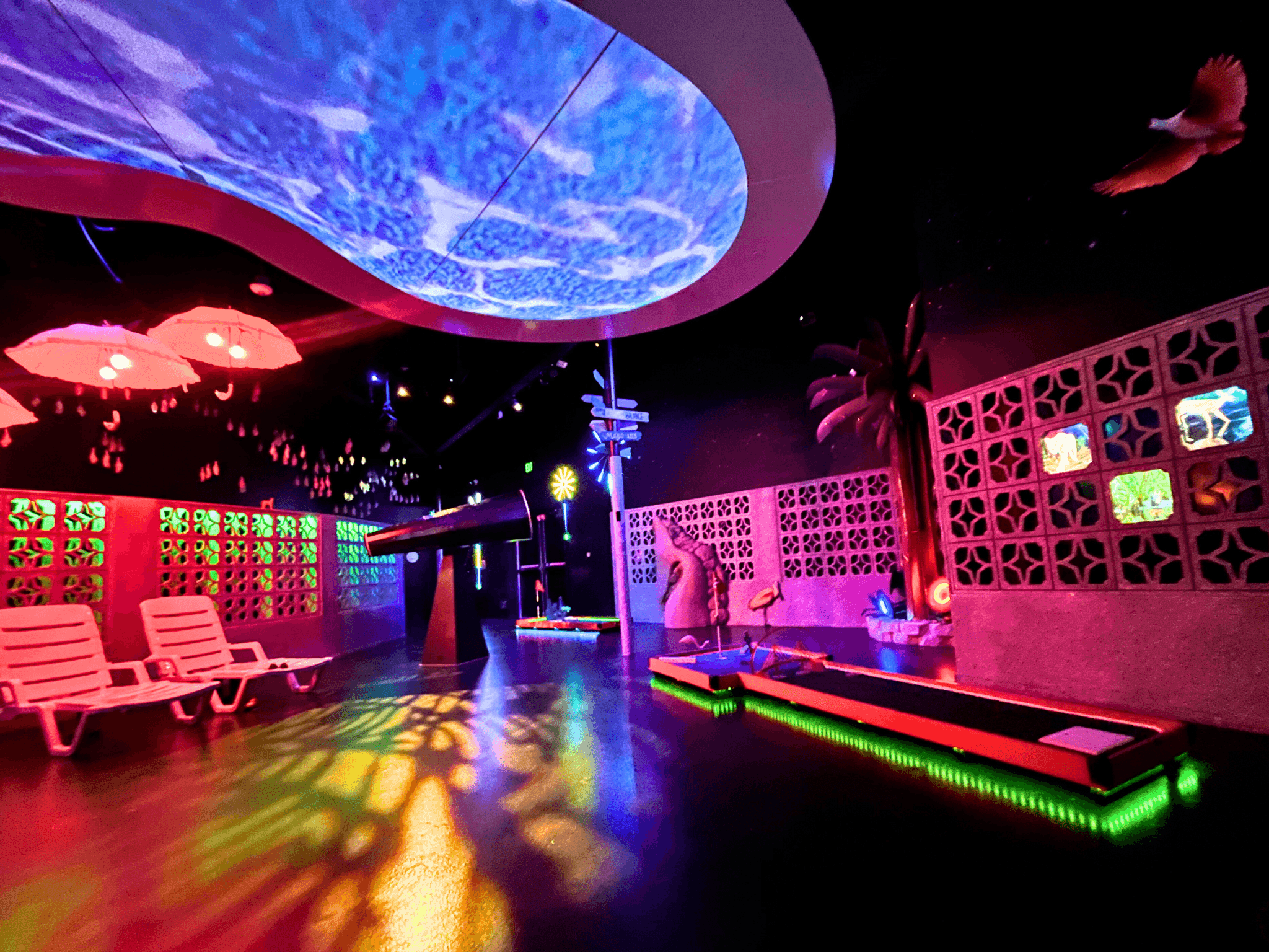 Neon Summer at FloridaRAMA Things to Do in Tampa Bay